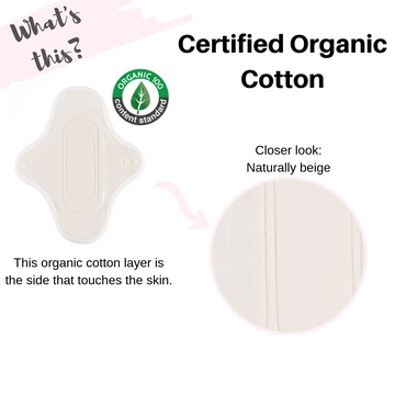 Pantyliner Cloth Pad - 2 Pack